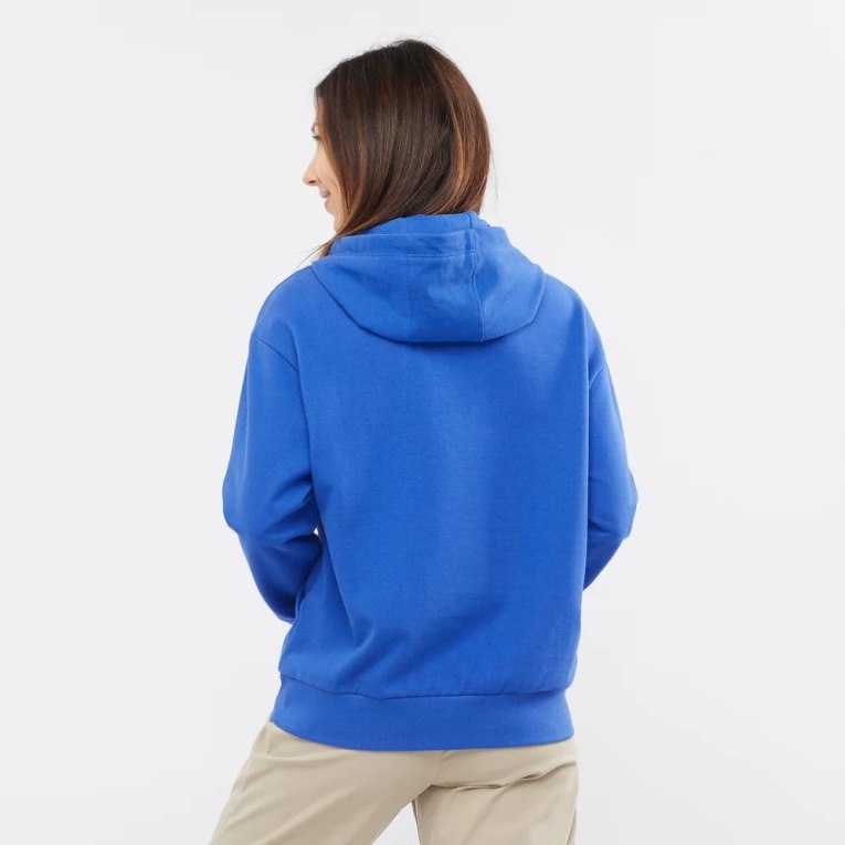 Sudaderas Salomon Outlife Logo Summer Mujer Azules | MX BKFM380